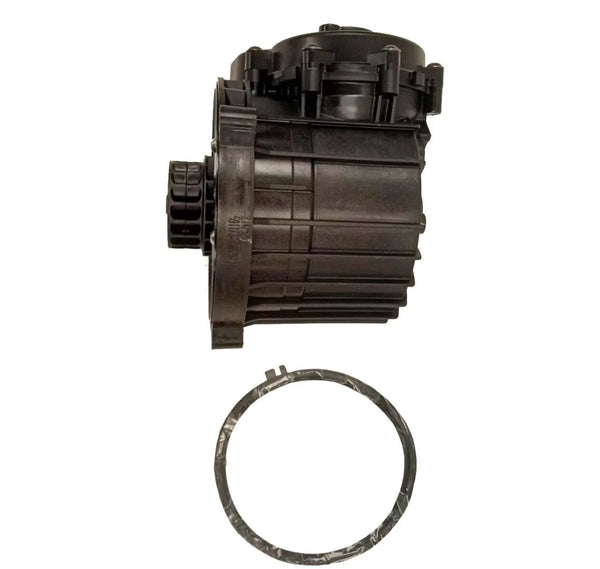 21475228-genuine-alfdex-
