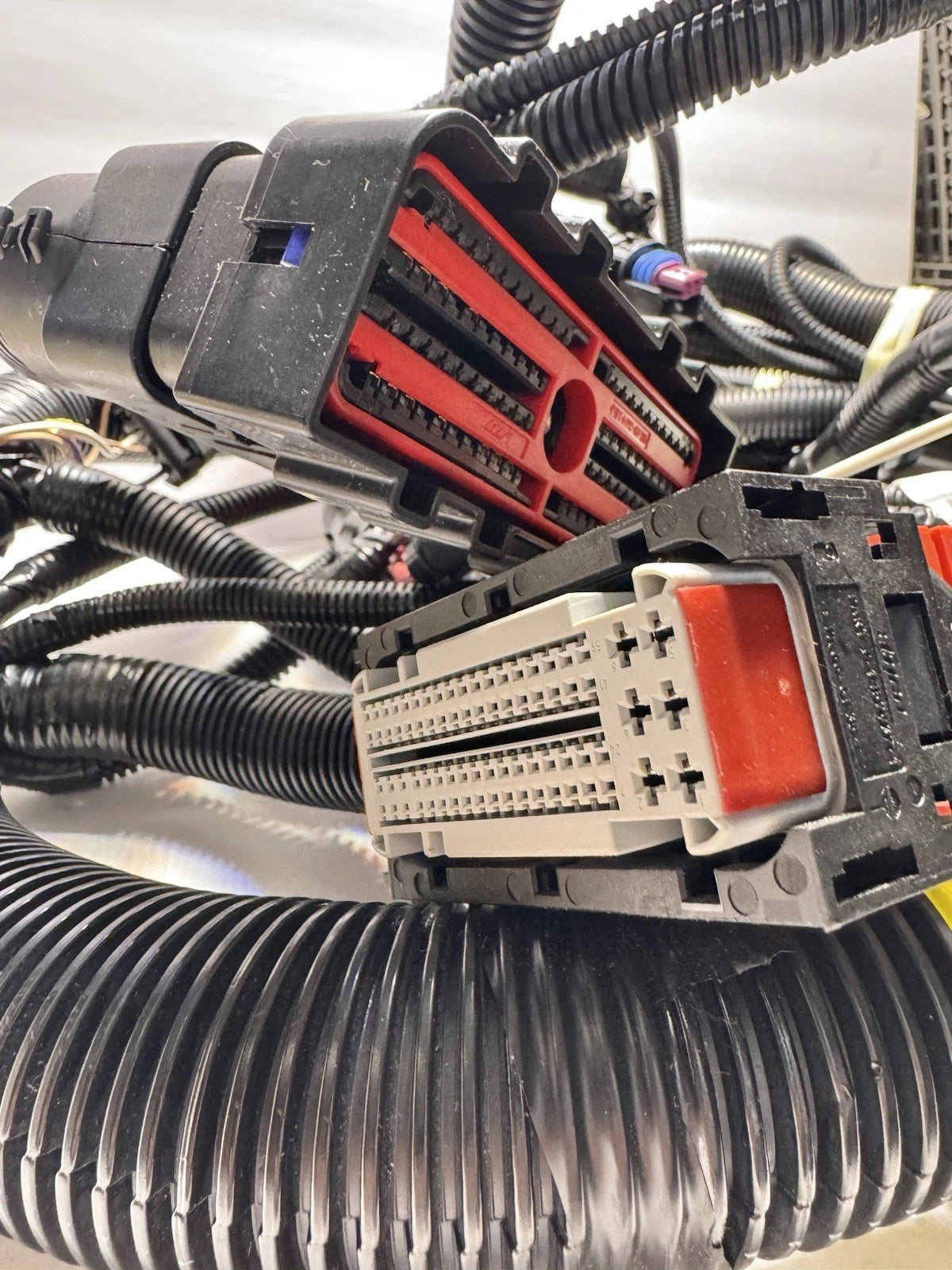 3671426C97 Genuine International Wiring Harness