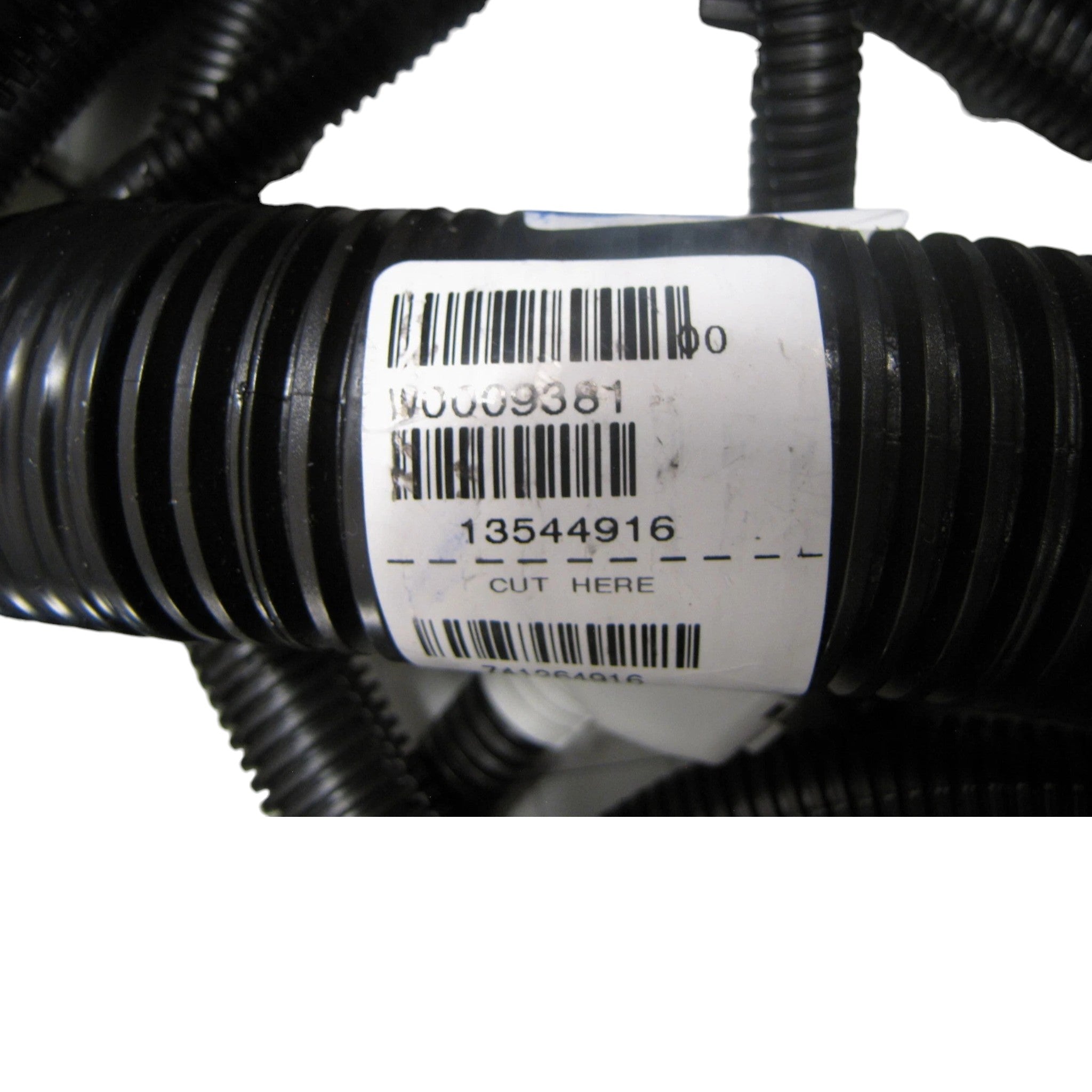 W0009381 Workhorse Engine Wiring Harness