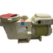 011533 Pentair WhisperFlo VST Variable Speed Pool Pump 1115/208-230V