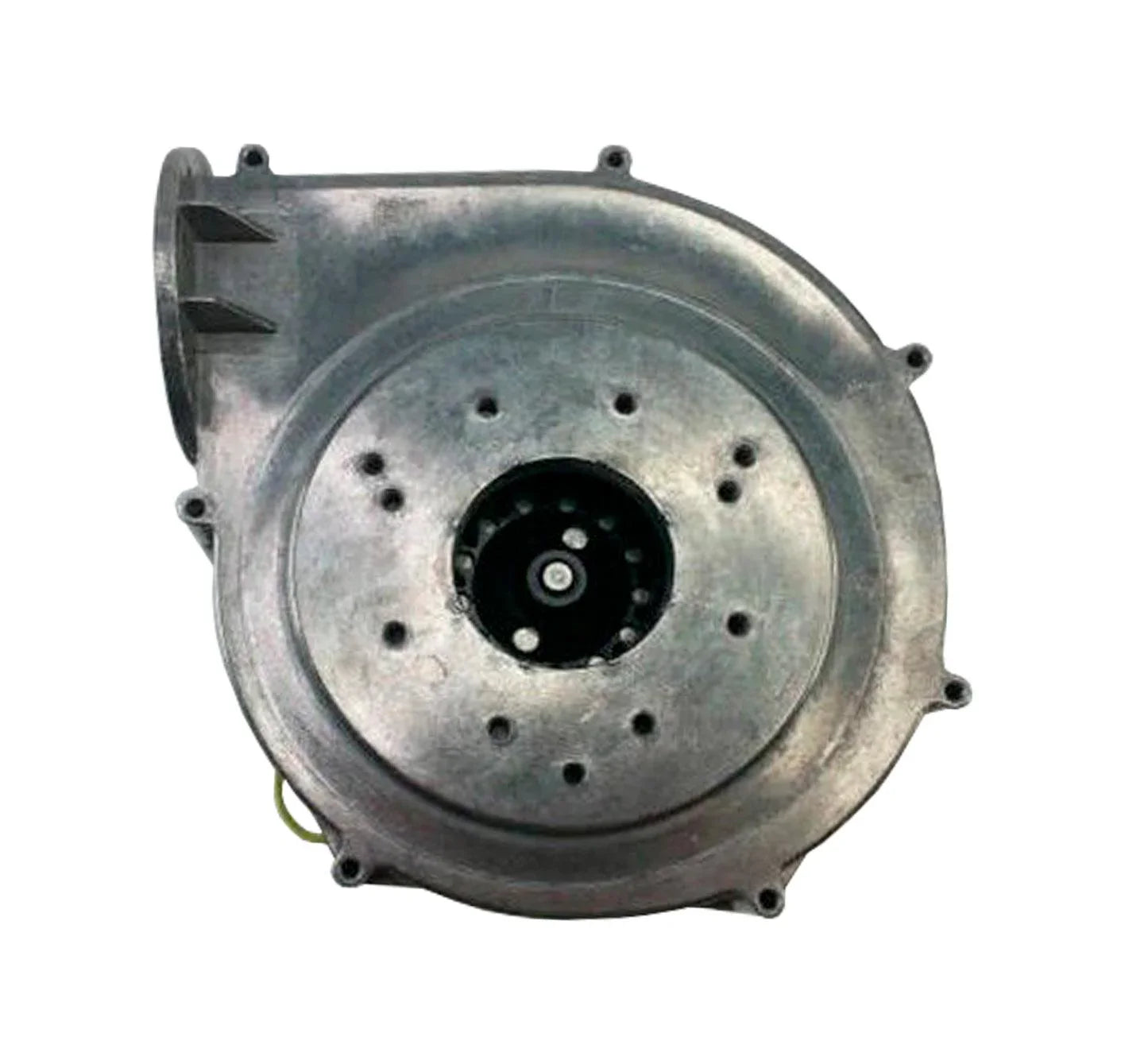 100187864 Genuine Ao Smith Blower Ebm Rg148 Assembly
