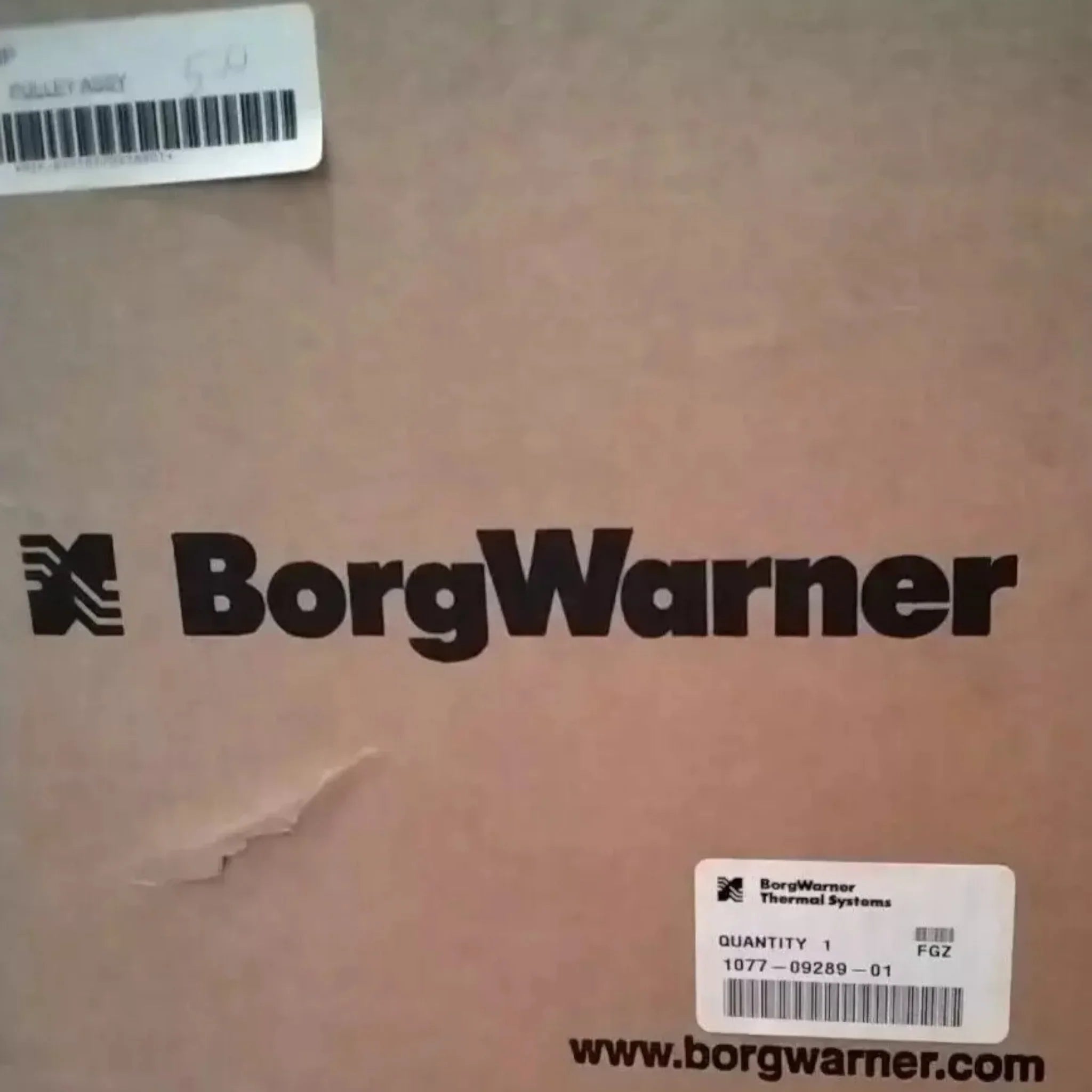 1077-09289-01 Genuine Borgwarner Pully Assembly