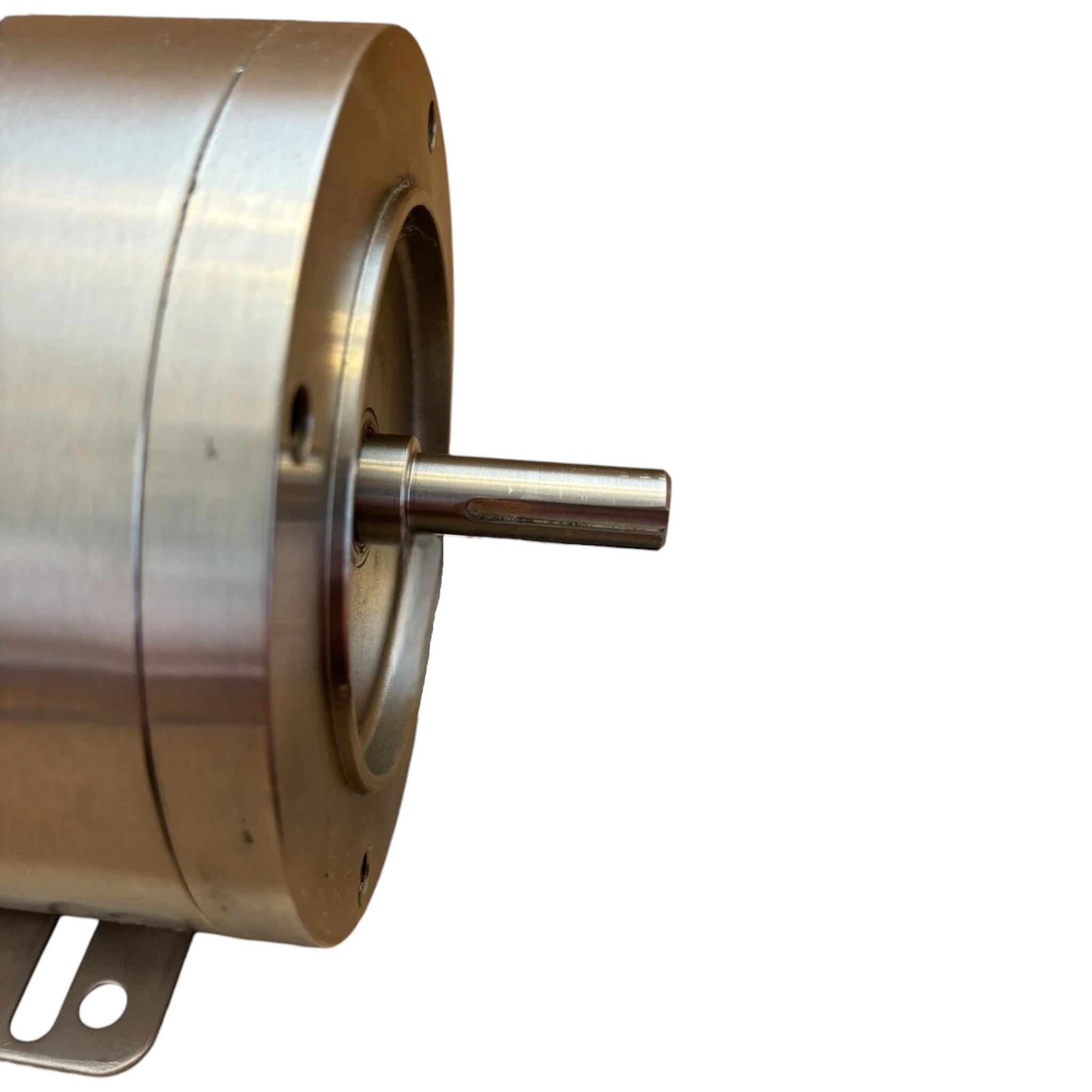 116348.00 Leeson Stainless Washdown Motor