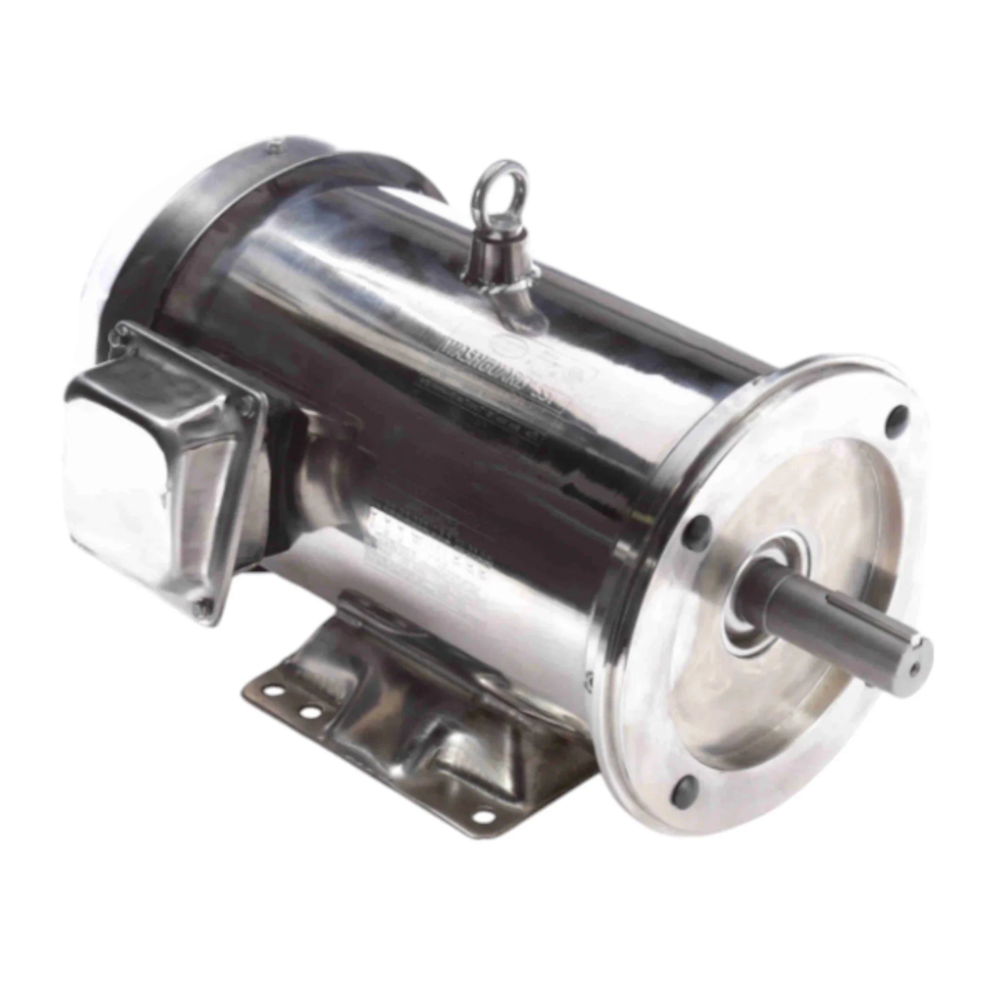 194006.00 Genuine Leeson Washdown Stainless Steel Motor