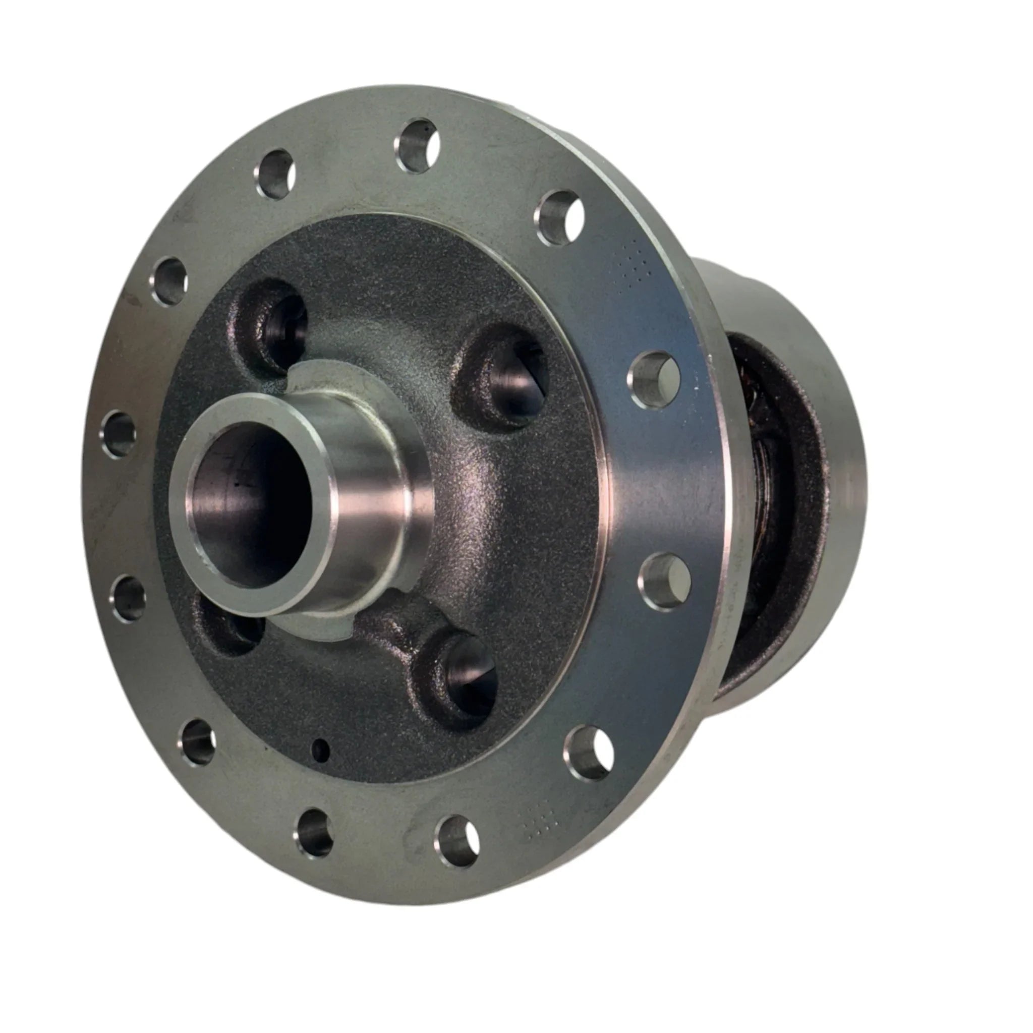 19694-010 Genuine Eaton Slip Posi Differential 10.25