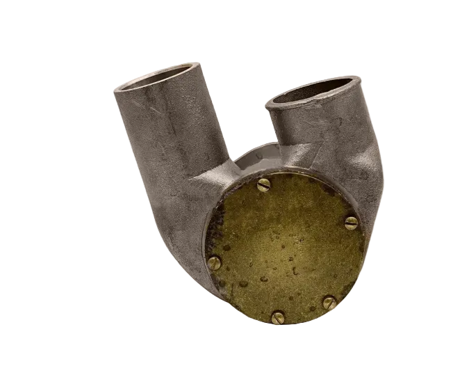 160596 Genuine Cummins Jabsco Sea Water Pump, Sea Marine