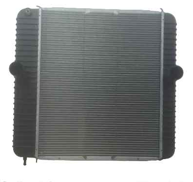 2504903A92 Genuine International Radiator Assembly