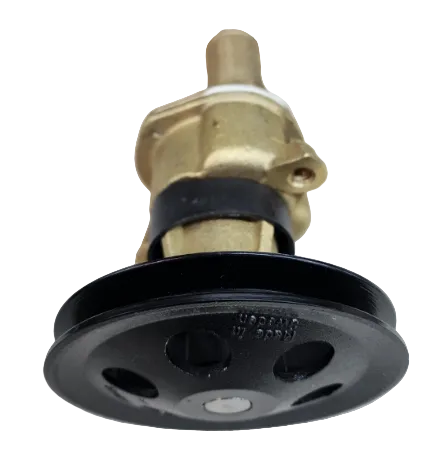 3857794 Genuine Volvo Penta Raw Water Sea Pump