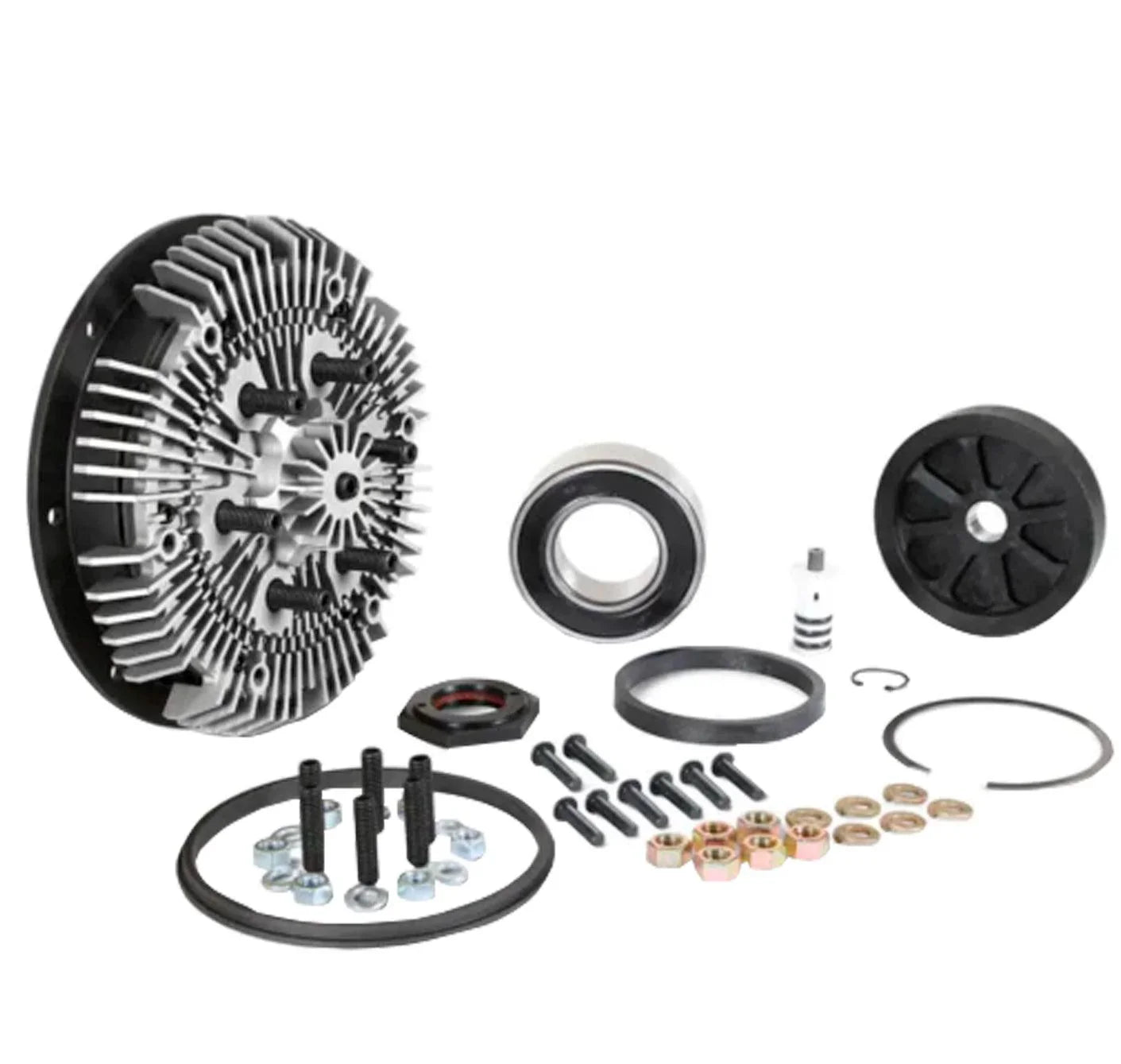 24-256-1 Kit Masters 2-Speed GoldTop Rebuild Kit