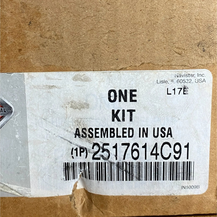 2517614C91 Genuine International Kit High Pressure Fuel Pump For 12.5L