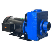 276D-95 Genuine Amt Cast Iron Self-Priming Centrifugal Pump