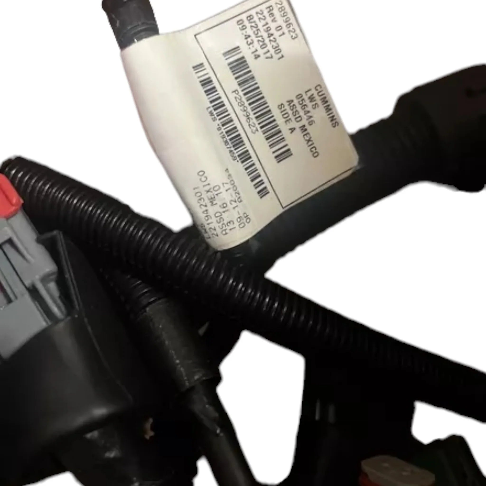 2899623 Cummins Electronic Control Module Wiring Harness