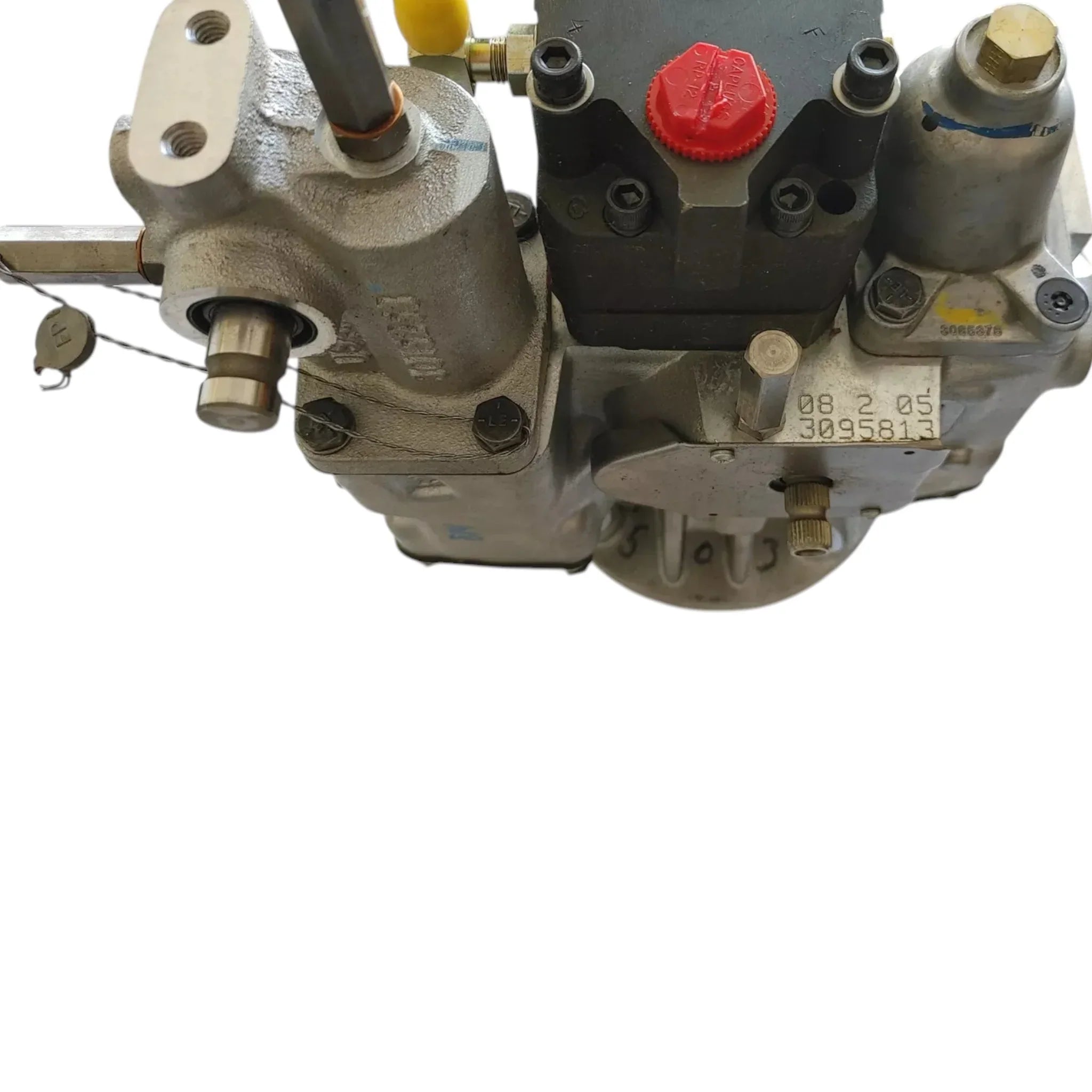 3095454 Genuine Cummins Fuel Pump