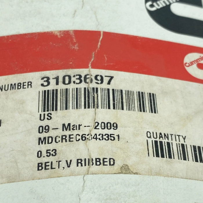 3103697 Genuine Cummins V Ribbed Belt