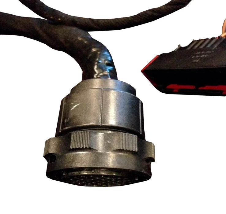 3560449C92 Genuine International Harness Electrical Transmission Wiring*