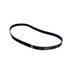 3805173 Genuine Cummins V Ribbed Belt