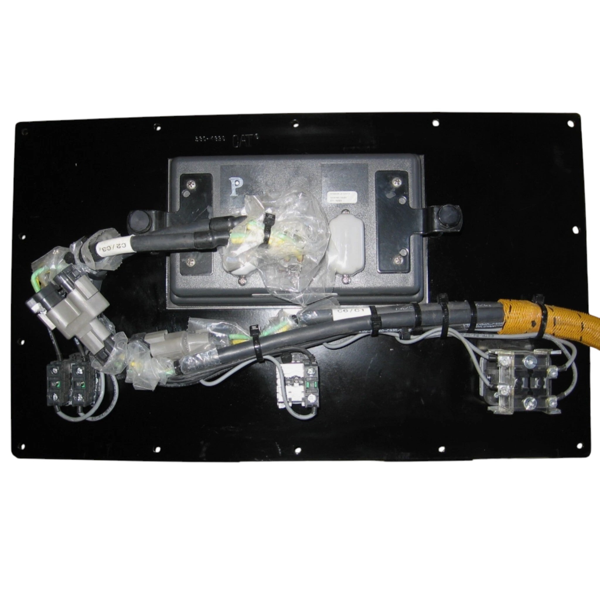 3810010 CAT Panel As