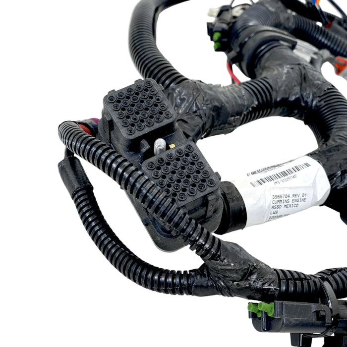 3965704 Genuine Cummins Electronic Control Module Wiring Harness