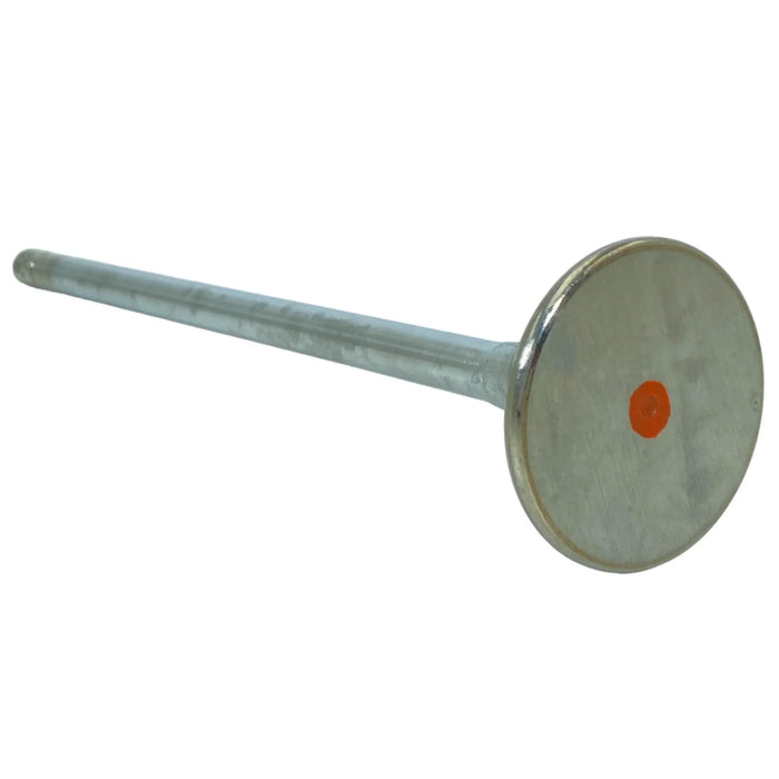 4059216 Genuine Cummins Engine Intake Valve