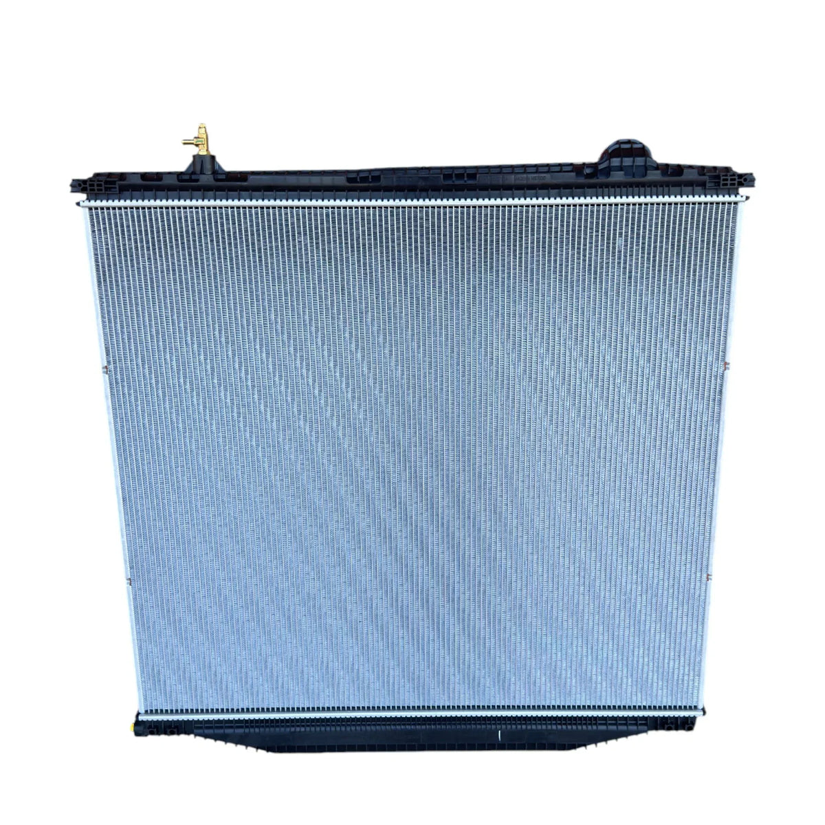 4302755C1 Genuine International Radiator