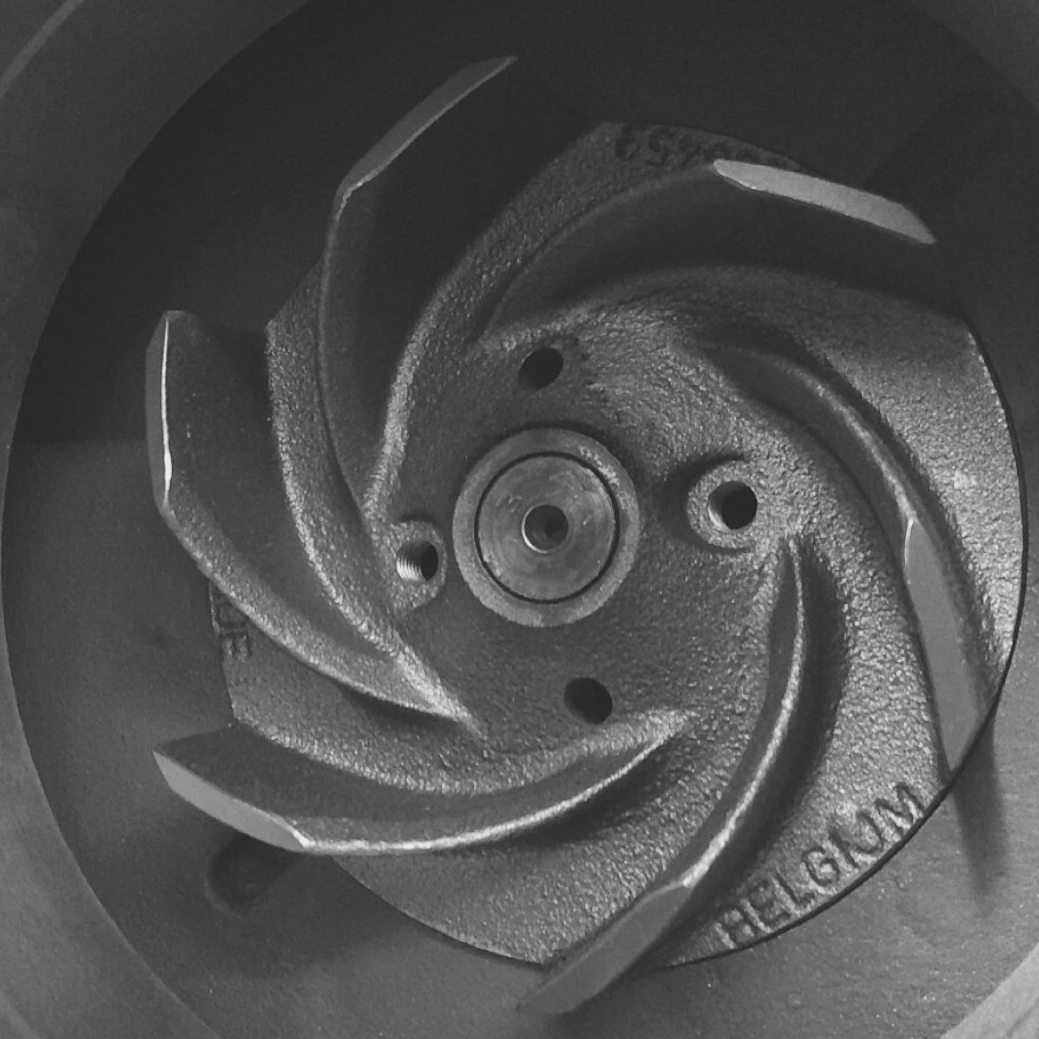 4376119RX Genuine Cummins Water Pump