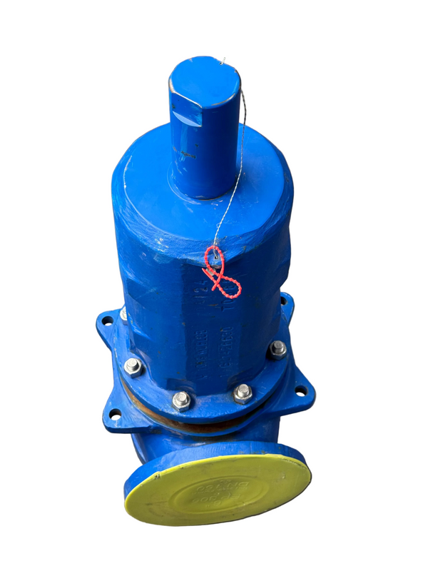 5262.2342 Leser Safety Relief Valve Flanged