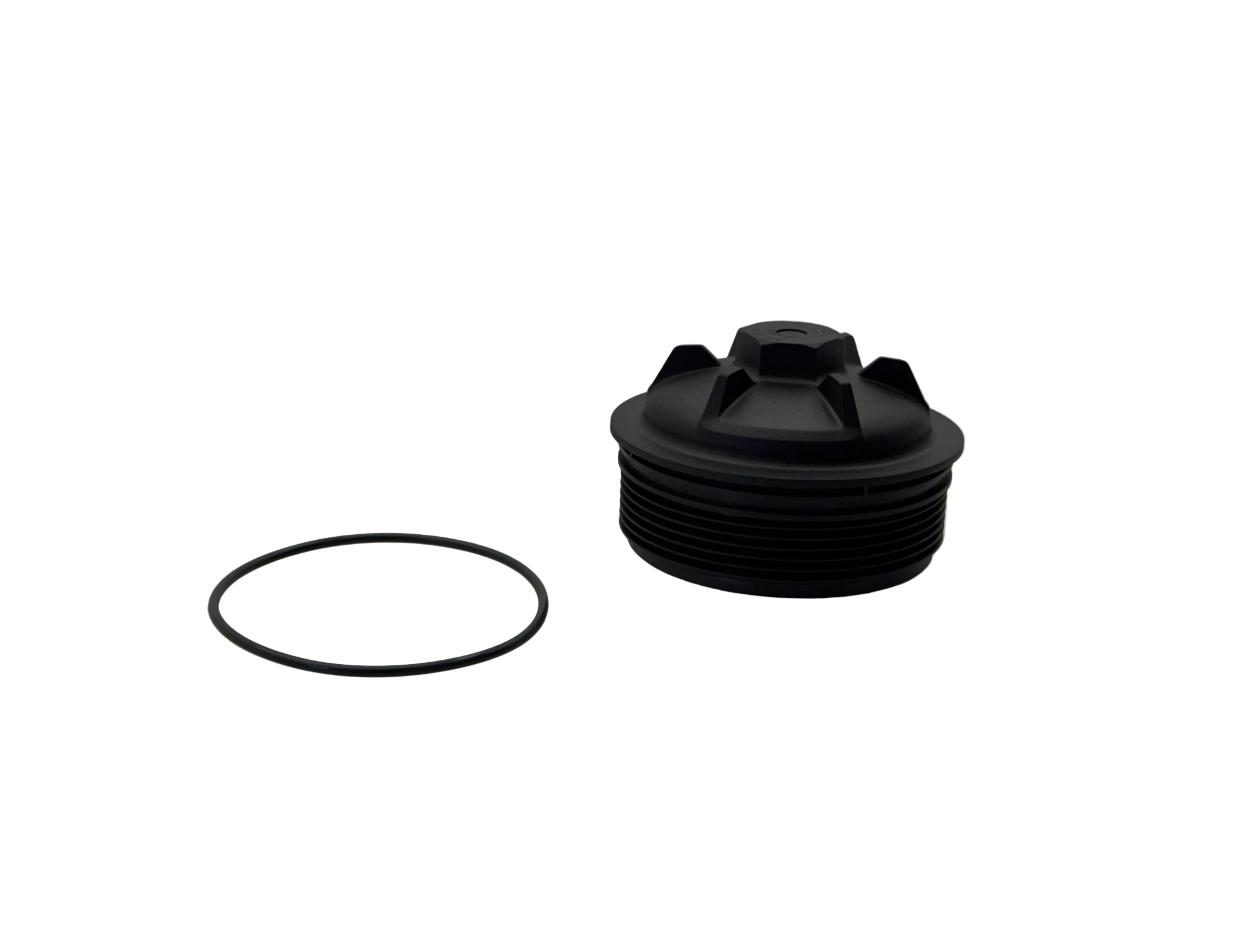 2523758C91 Genuine International Fuel Filter Cap Kit