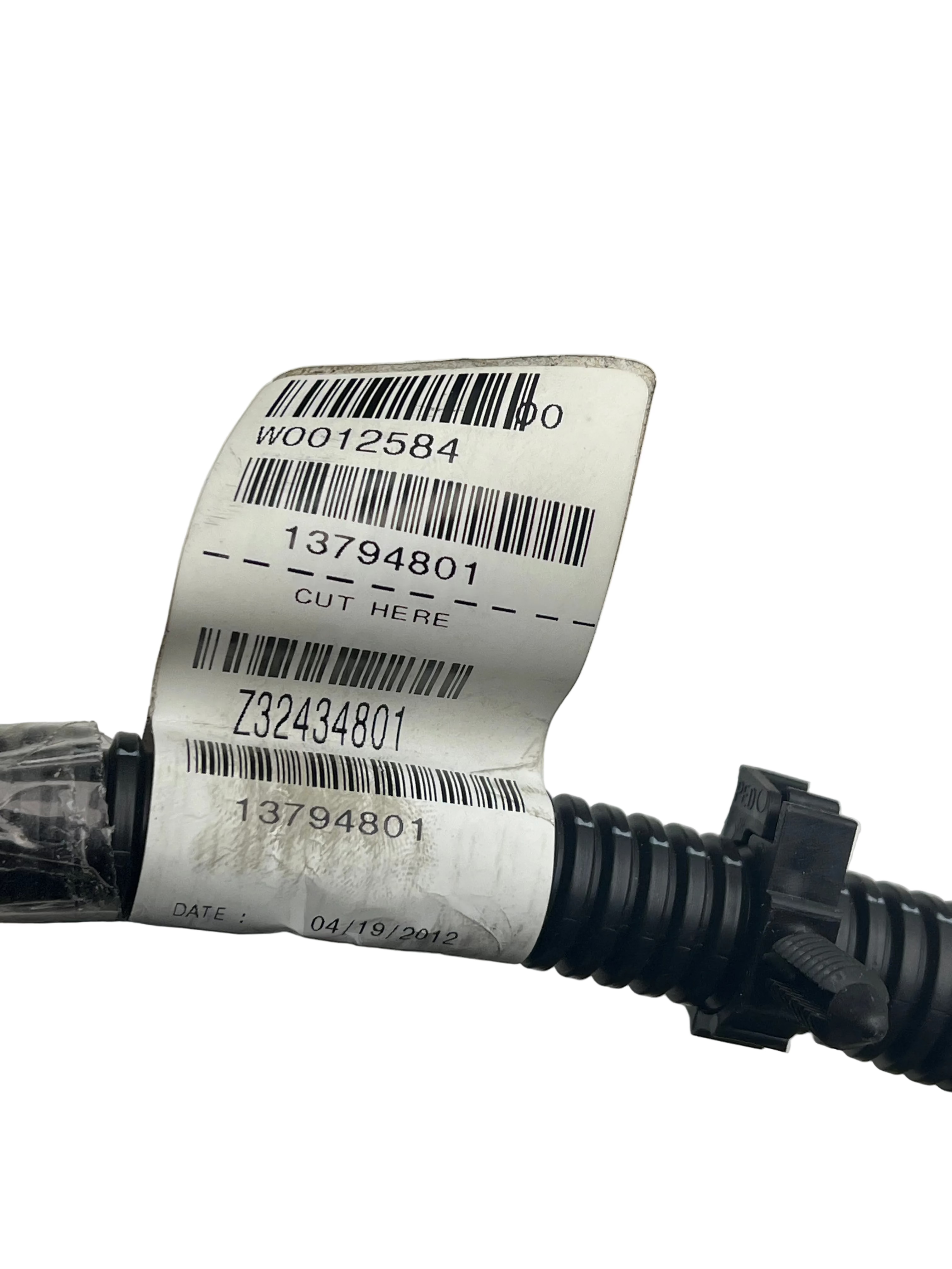 W0012584 Workhorse Harness Assembly