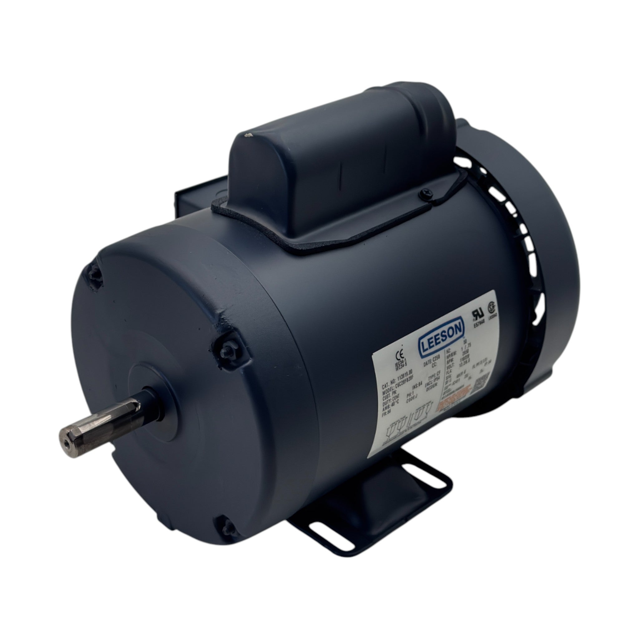 113913.00 Genuine Leeson Electric Motor