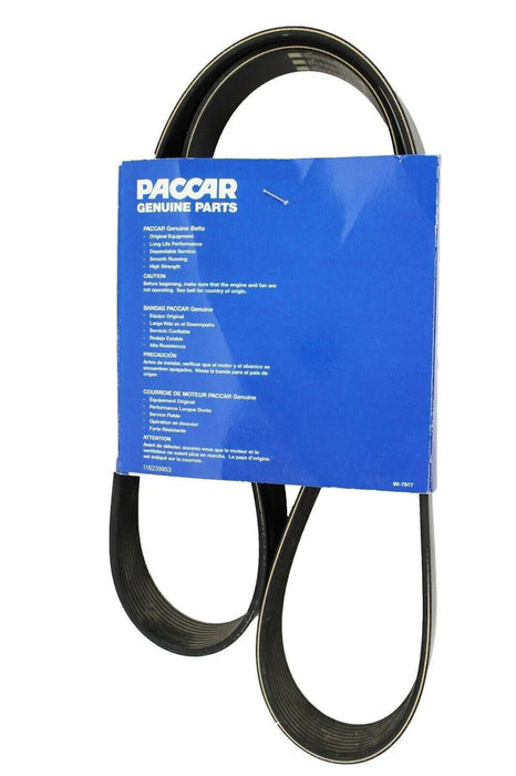 D841003101530 Genuine Paccar Engine Belt