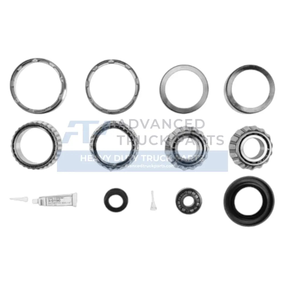 ETN514016 Dana Spicer Differential Bearing Kit