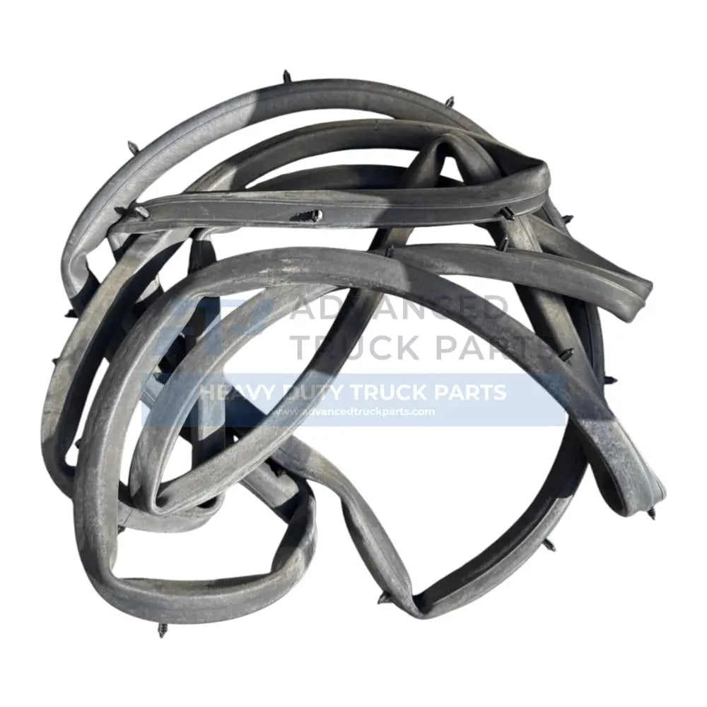 Genuine International Door Seal - Doors