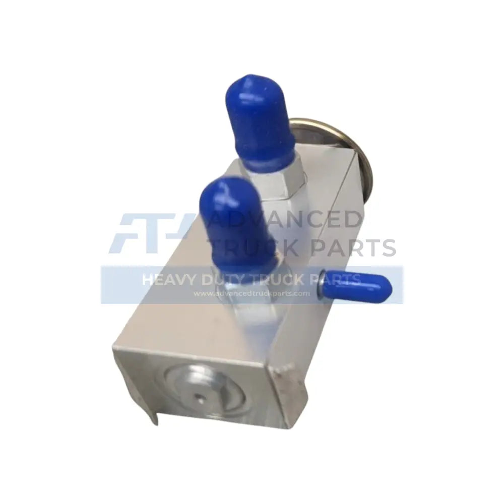 Genuine International Expansion Valve - Valves