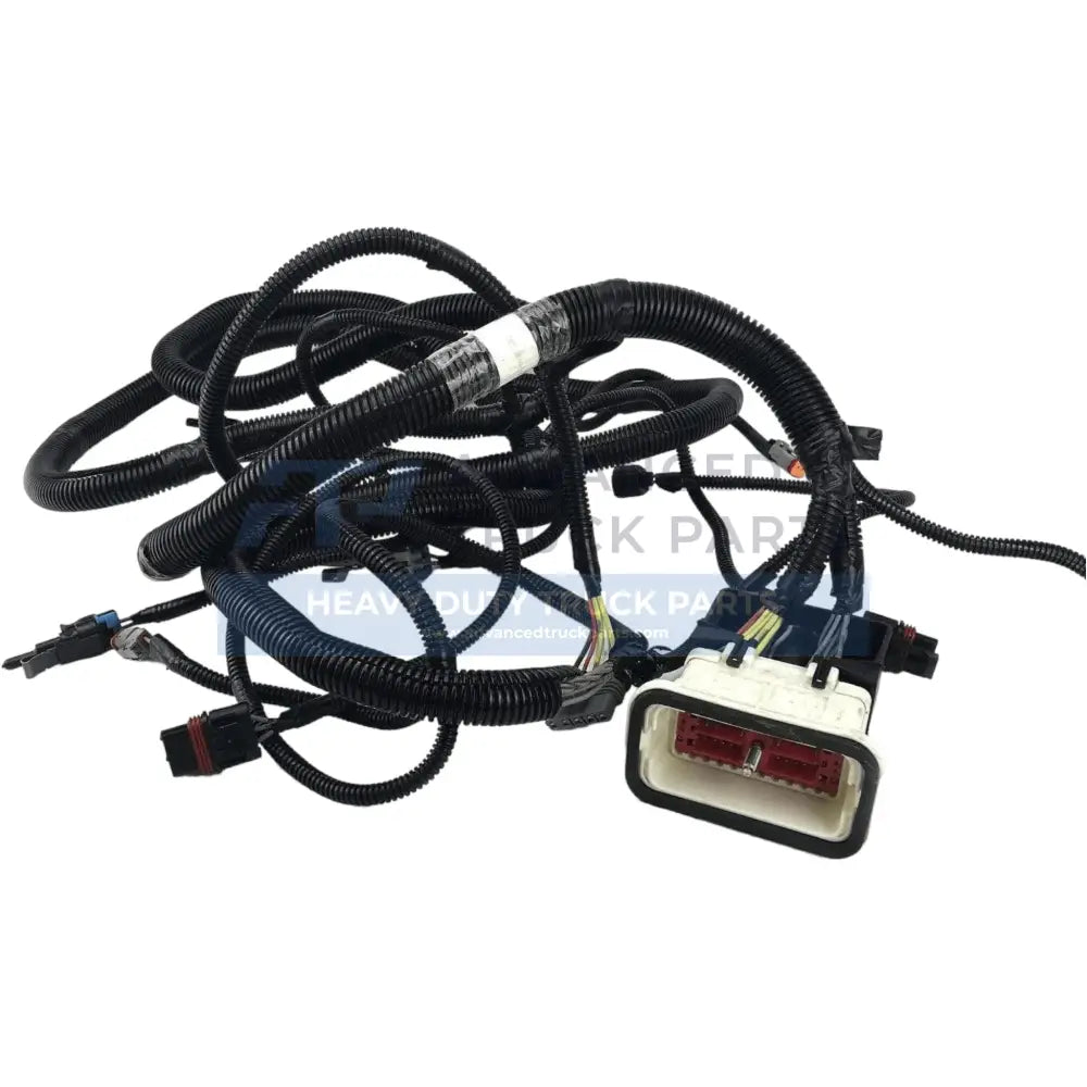 2591884C91 Genuine International Harness