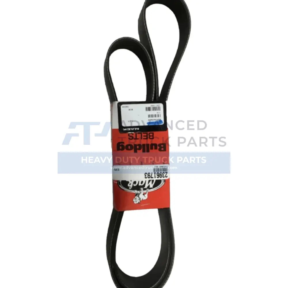 23961793 Genuine Mack V-Ribbed Belt - Truck To Trailer
