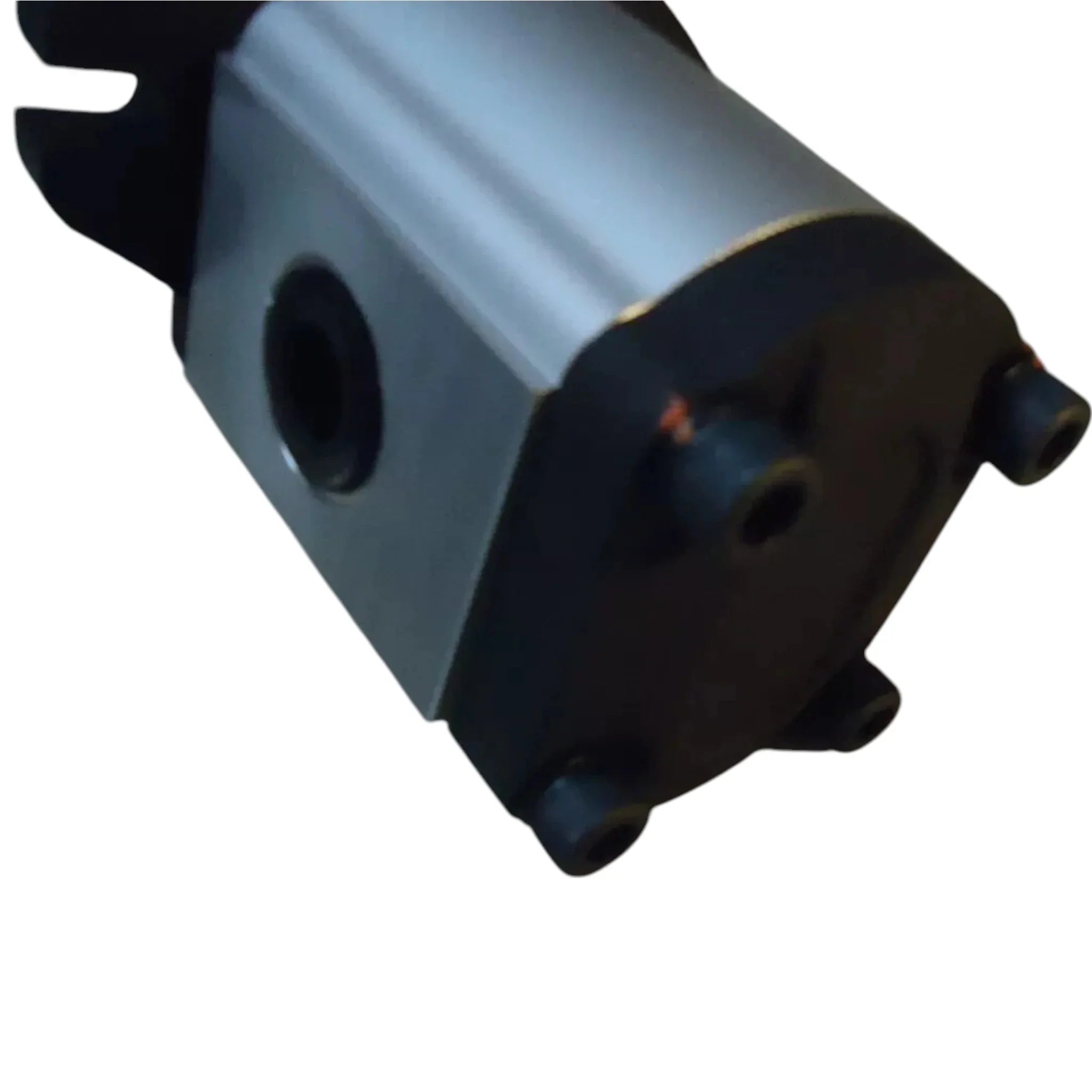 GP-F20-25-P1-C Genuine Dynamic Gear Pump
