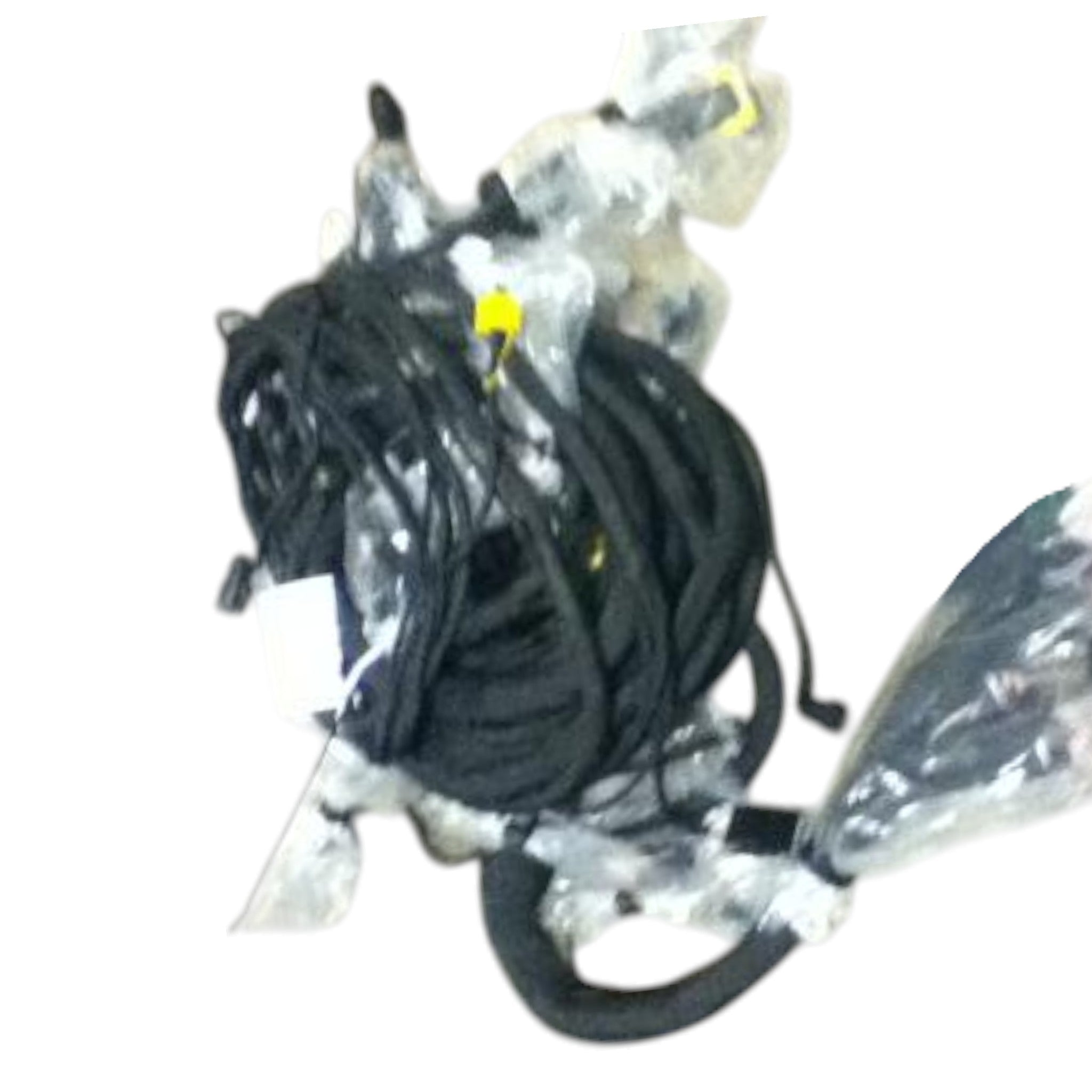 21668435 Genuine Mack Wiring Harness
