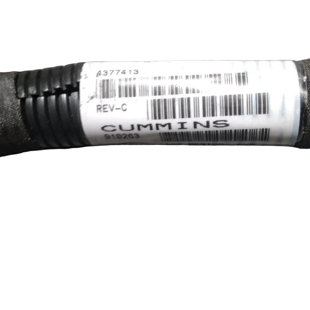 4353455 Genuine Cummins Wiring Harness