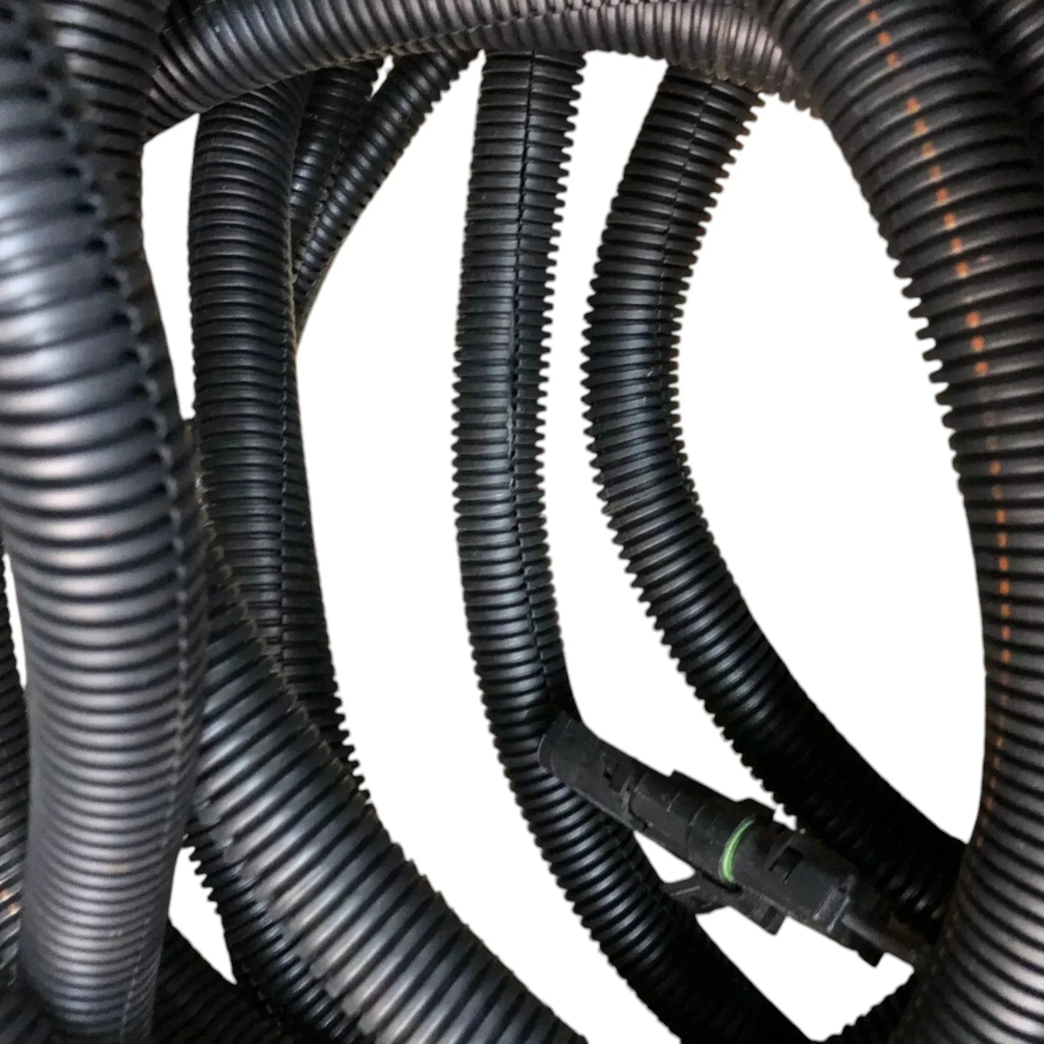 3965046 Genuine Cummins Wiring Harness