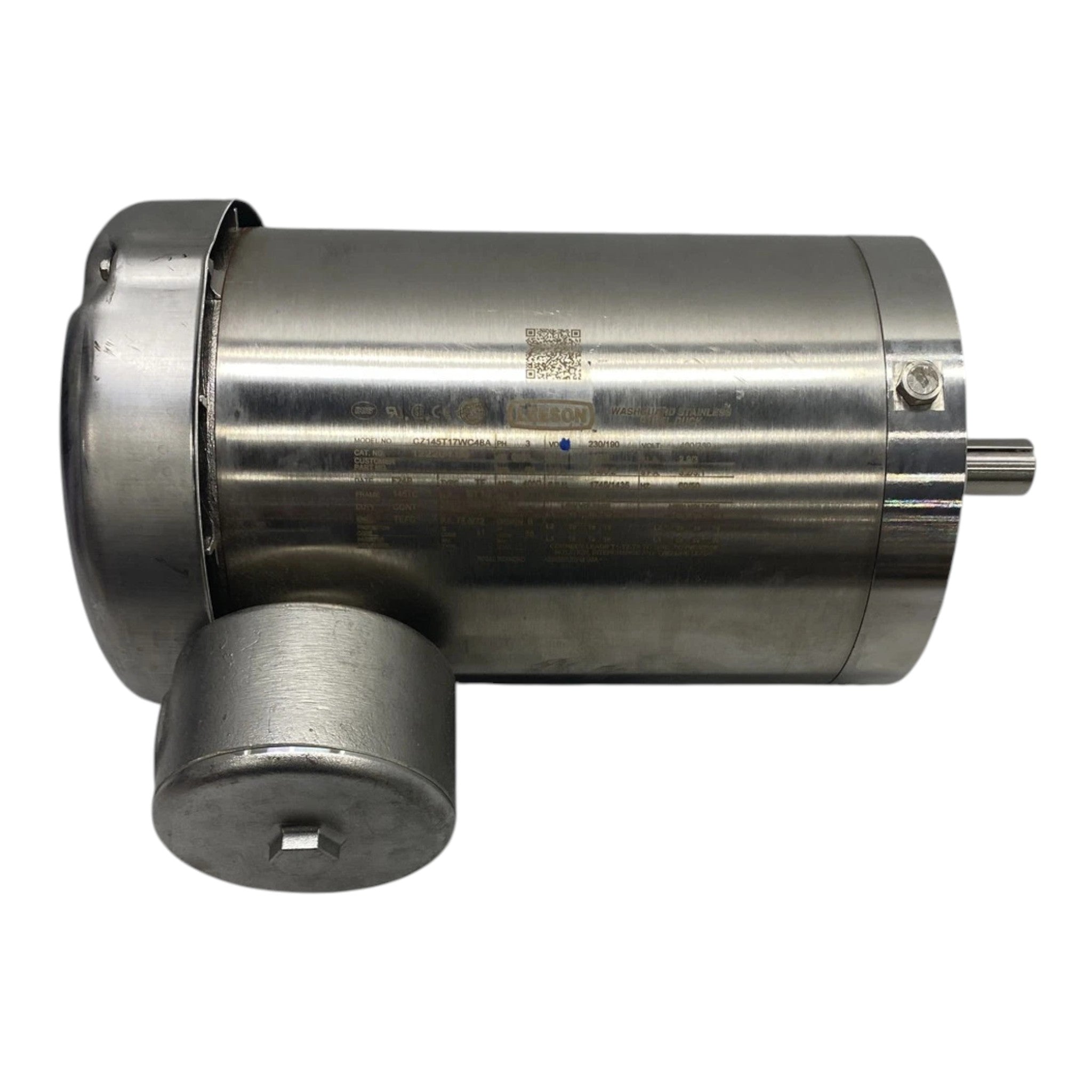 122204.00 Leeson Washdown Motor