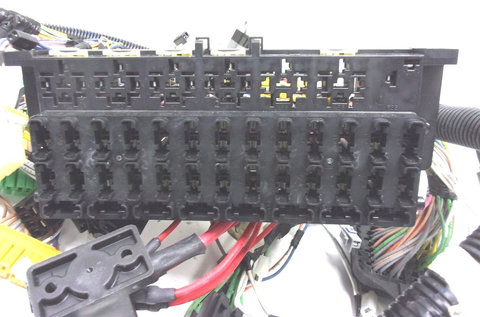 2004252C91 International Wiring Harness