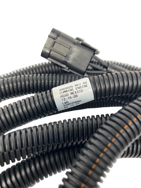 3965042 Genuine Cummins Wiring Harness