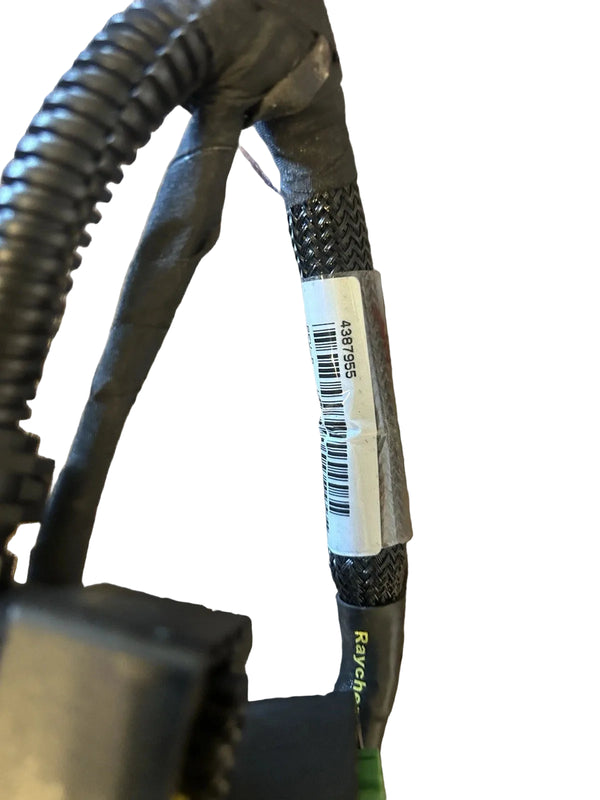 4387955 Genuine Cummins Wiring Harness