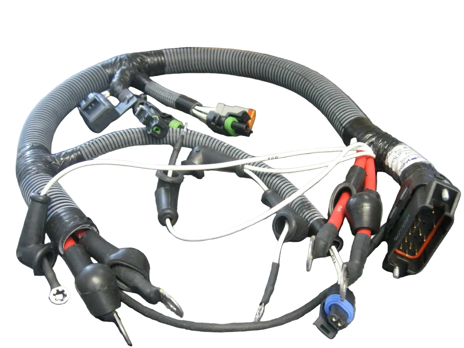 3922154 Genuine Cummins Wiring Harness