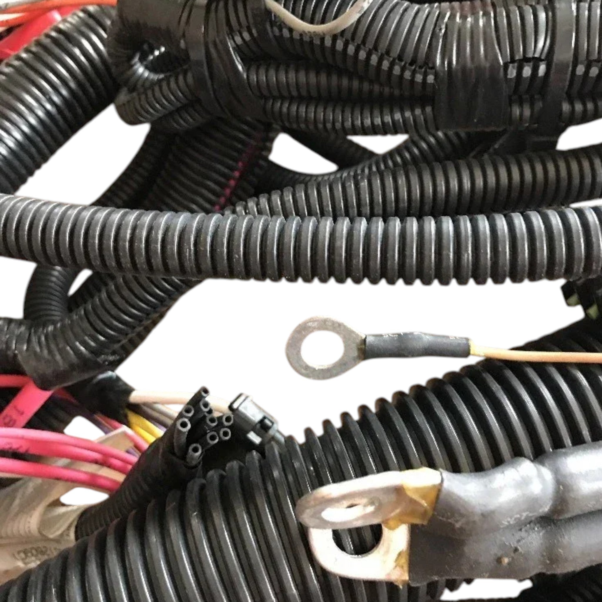 3512167C91 International Wiring Harness