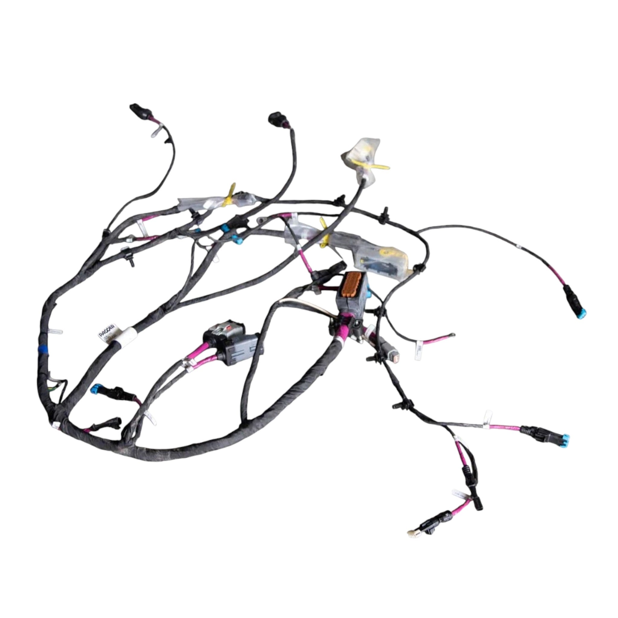 P929343013031 Paccar Engine Harness