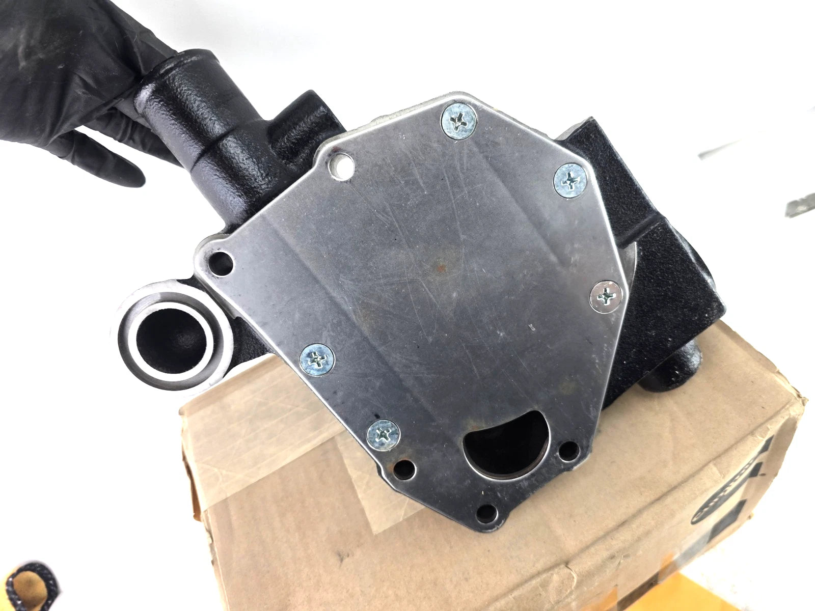 5404285 Genuine Cummins Water Pump Kit