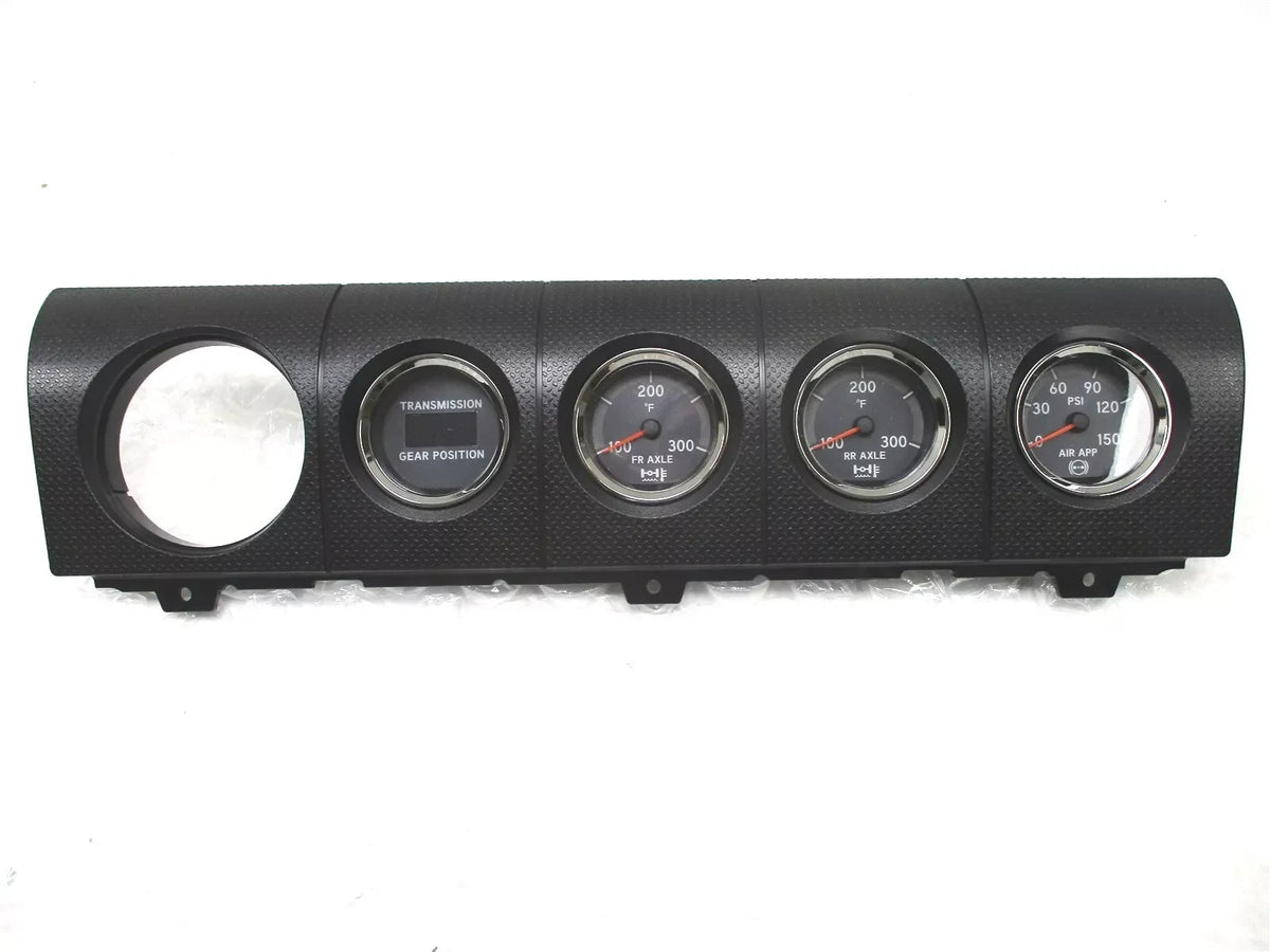 Genuine International Gauge Panel