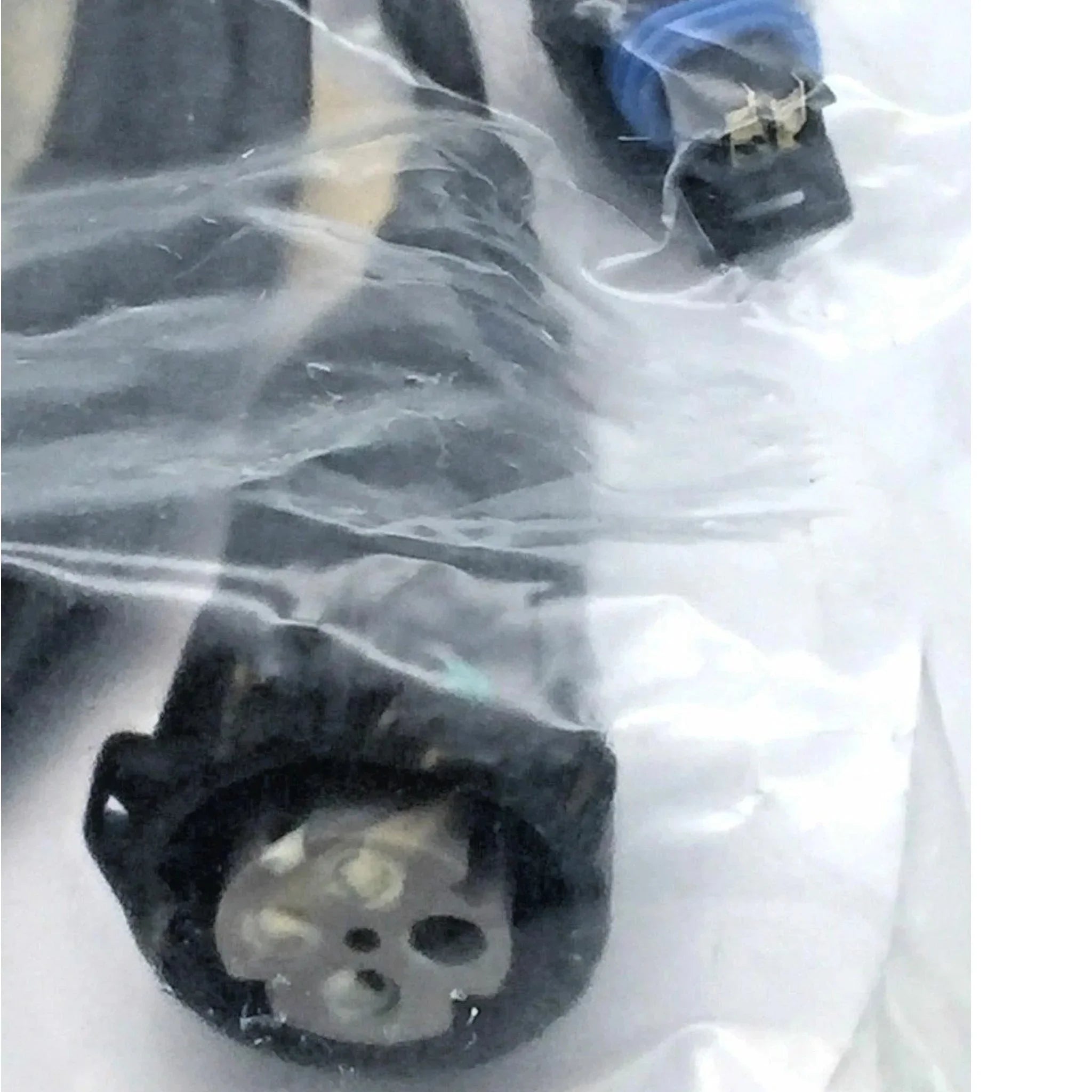 4964184 Genuine Cummins Wiring Harness