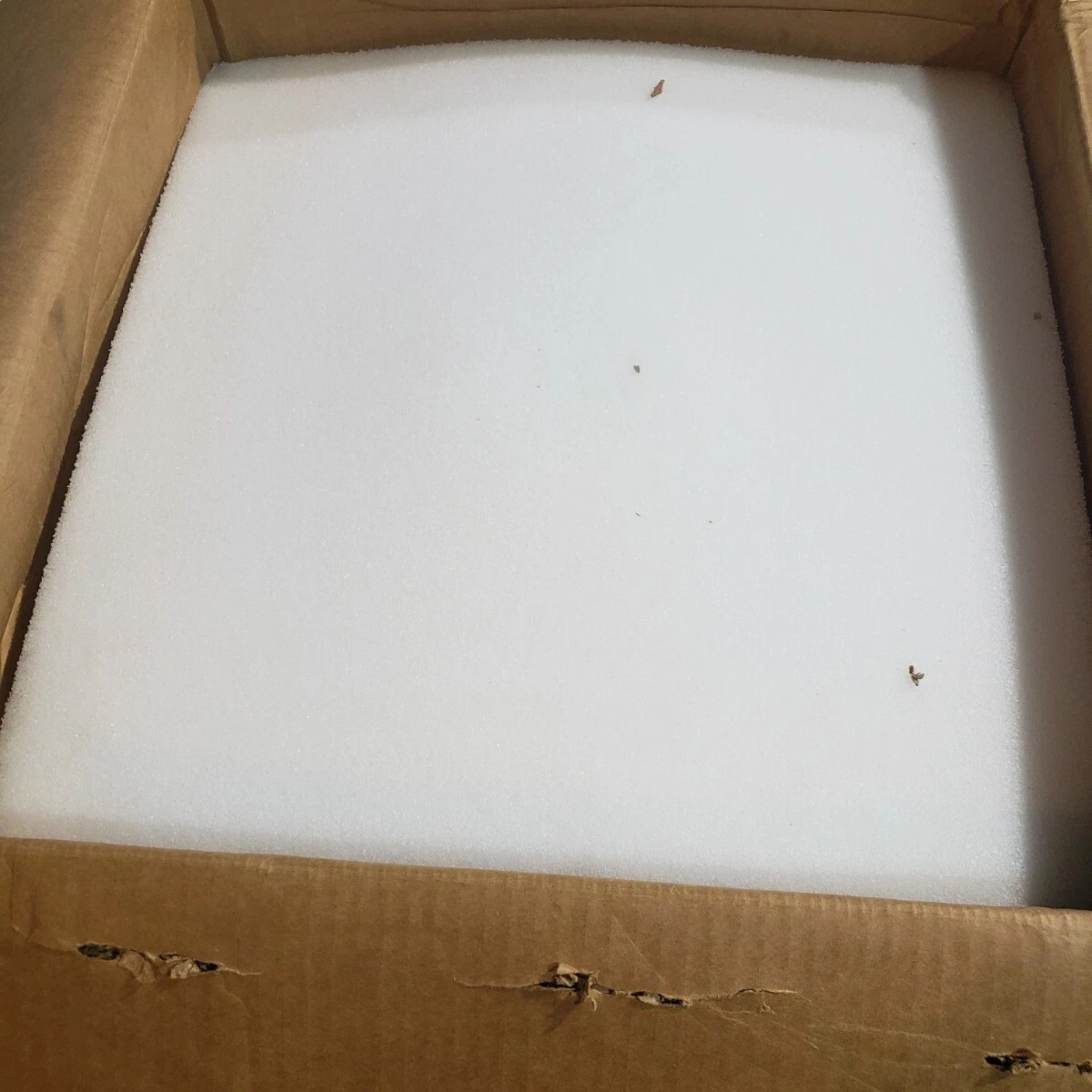 5287473 Genuine Cummins Inlet Module
